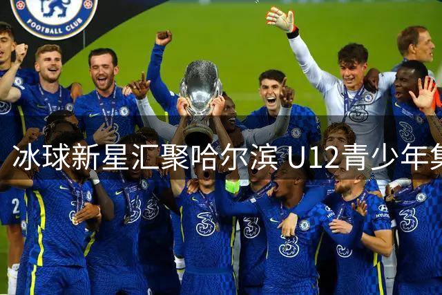 冰球新星汇聚哈尔滨 U12青少年集训营开启未来之星培养计划